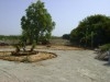 A vendre Une Grande Ferme de Rêve (8HA)