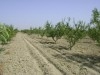 A vendre Une Grande Ferme de Rêve (8HA)
