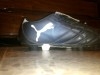 Crampon Puma NEUF Trés bon prix...