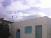 Dar arbi centre kélibia