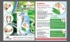 Patchs relaxants et anti-toxines