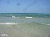 offre de vente un terrain a plage Rojiche MAHDIA