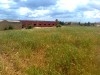 Terrain agricole idéal a tazarka
