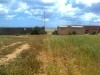 Terrain agricole idéal a tazarka