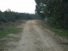 FORCA Terrain 10 hectares a l indivision SEULEMENT