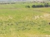 Terrain agricole avec Titre Bleu
