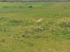 Terrain agricole avec Titre Bleu