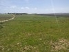 Terrain agricole avec Titre Bleu