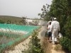 FERME A  VENDRE A  14 Km de TUNIS