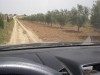 FERME A  VENDRE A  14 Km de TUNIS