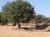 projet agricol interressant a ceder 