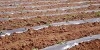 projet agricol interressant a ceder 