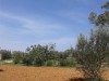terrain bien situé 