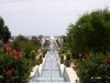 villa d'or - Korba