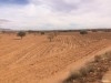 Terrain à batir