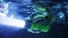 Lampe LED de sous la mer et chasse dans la foret 