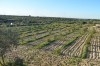 ferme agricole