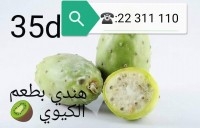  figue de barbarie gout kiwi