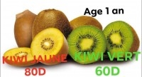 plante kiwi