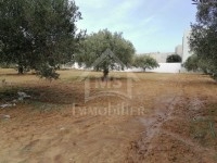 Un terrain de 318 m² à vendre à 210 MD 51355351