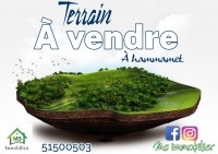 à vendre un terrain 505m² à 300MD à HAMMAMET SUD 