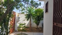 Tazarka 280dt/semaine 53541648