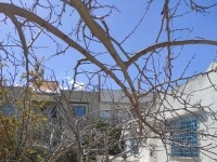 Villa RDC à vendre à Tazarka 3M773