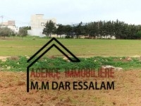 terrain près de la mer
