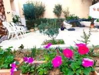 Maison bord de mer Chatt, rez-de-jardin S+1 75m2