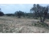 3000m2 a ne pas raté