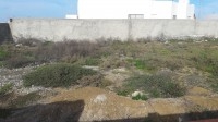 500 m² près de la sortie autoroute Hammamet Sud