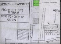 A HAMMAMET