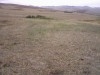 à louer 3 hectares sa9wi à massouj