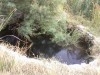 à louer 3 hectares sa9wi à massouj