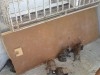 a vendre 10 chiots staff