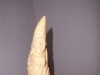 a vendre 2dephance delephant en ivoire sculte