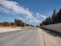 A vendre à Hammamet, superbe terrain de 500 m²
