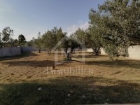 A vendre à Hammamet un terrain clôturé de 1000 m² 