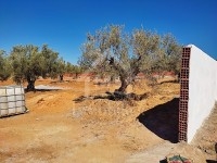 À VENDRE DES SUPERBES LOTS DE TERRAIN À HAMMAMET 