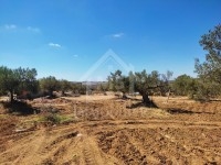 À VENDRE DES SUPERBES LOTS DE TERRAIN À HAMMAMET 