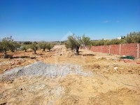À VENDRE DES SUPERBES LOTS DE TERRAIN À HAMMAMET 
