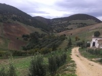 A vendre terrain agricole Bizerte Mateur 