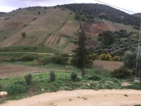 A vendre terrain agricole Bizerte Mateur 