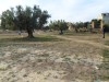 A vendre terrains constructible a Chott Mariem d'u