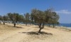 A vendre un beau terrain à Hammamet vue mer