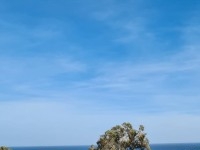 à vendre un lot de terrain à HAMMAMET 51333131