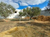à vendre un superbe terrain à MREZGA 51333131