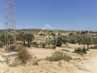 à vendre un superbe terrain à MREZGA 51333131