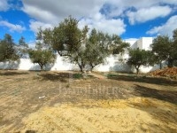 à vendre un terrain 120MD à MREZGA 51333131