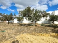 à vendre un terrain 120MD à MREZGA 51333131